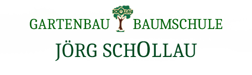 schollau.de